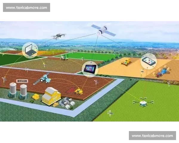 以足球产业生态为引擎的全链路整合营销创新路径与价值增长实践